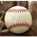 Steve Yeager Signed Autographed Official Nation...