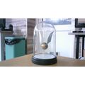 Harry Potter: Golden Snitch Bell Jar Light - Of...