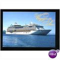 Royal Caribbean VOYAGER OF THE SEAS Company Pos...