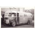 Bus Photo Trent Motor Traction 710 AEC Regal I ...