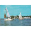 6x4 Continental size printed postcard Brownsea ...