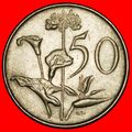 Ⰶ FLOWERS (1965-1990): SOUTH AFRICA ★ 50 CENTS ...