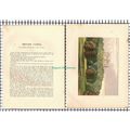 (6679) Belvoir Castle Leicestershire - c.1880 P...