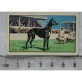 1934 Gallaher's Park Drive Champions No. 18 The...