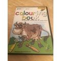 Colouring book pc cd-rom by green street junior...