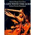 A Life With the Gods in Their Yoruba Homeland