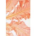 Sea Beech Irish Coast Seaweed Natural History M...