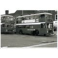 Black & White Photograph of United Counties Omn...