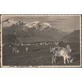 Hohe Windspielen, Gstaad, c.1930s - W Olivier F...