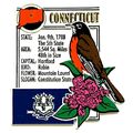 Connecticut The Constitution State Montage Frid...