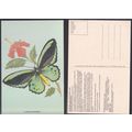 Australia 1983 Butterfy PC - Cairns Birdwing (O...