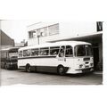 Black & White Photograph of Ribble Motor Servic...