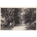 A216 WESTON SUPER MARE - KEWSTOKE WOODS